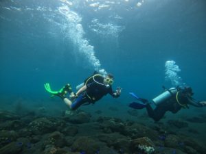 Under the ocean in Bali