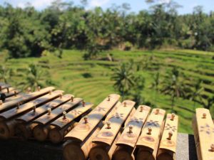 Bali Rice terraces