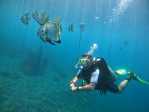 Under the ocean in Bali